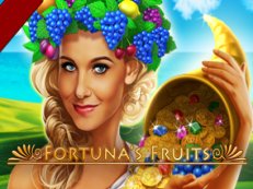 fortunas fruit slot amatic