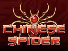 chinese spider