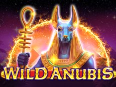 Wild Anubis video slot