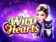 Wild Hearts video slot