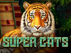 Super Cats slot