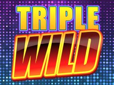 Triple Wild slot