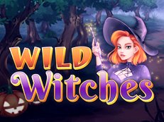 Wild Witches slot amatic