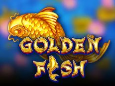 Golden Fish slot amatic