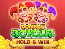 Double Joker Hold & Win slot amatic wildcat gaming